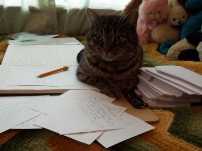 2014-01-05 Writer Cat is Writing!