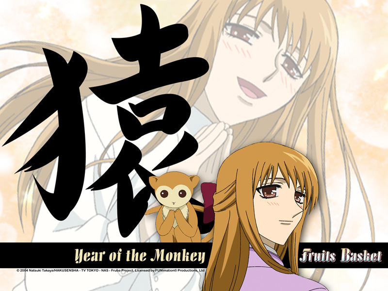 Monkey-fruits-basket-anime-manga-114752_800_600