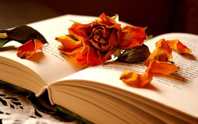 autumn-flowers-in-a-book-of-memories_5120x3200